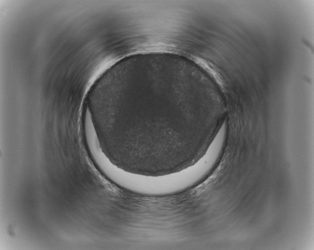 X0000094781469200712071153