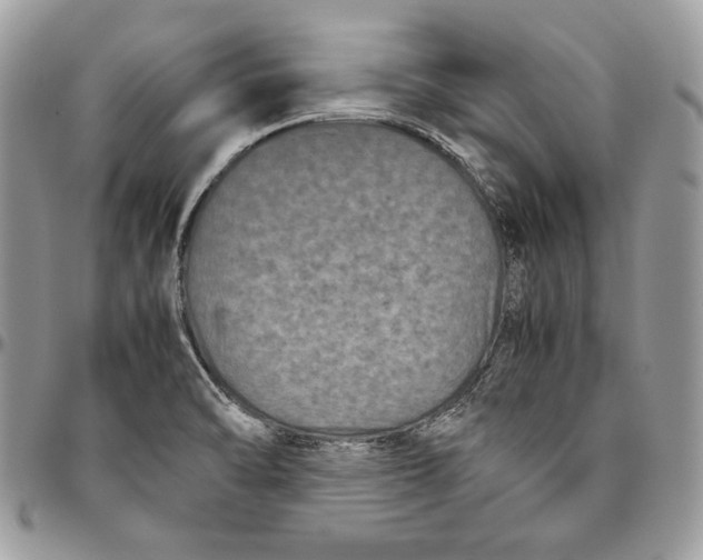 X0000094781470200712071153