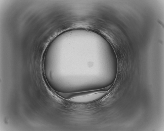 X0000094781471200712071153