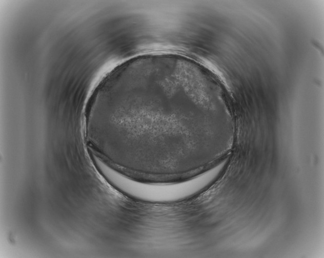 X0000094781472200712071153