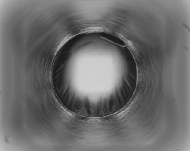 X0000094781473200712071153