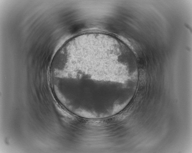 X0000094781474200712071153