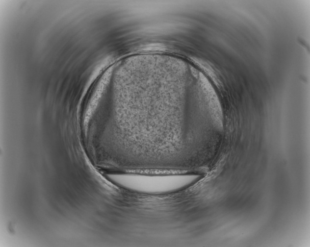 X0000094781475200712071153