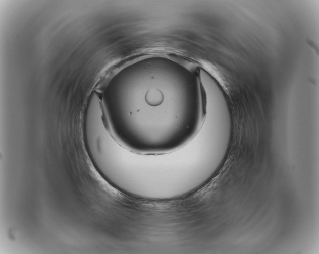 X0000094781476200712071153