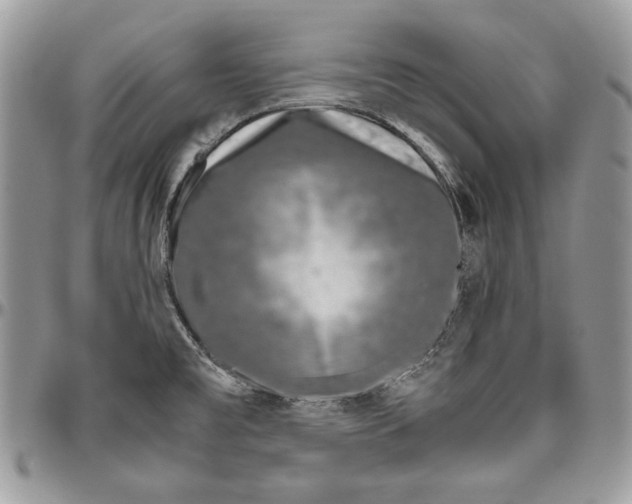 X0000094781477200712071153