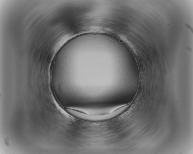 X0000094781479200712071153