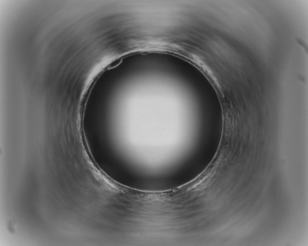 X0000094781480200712071153