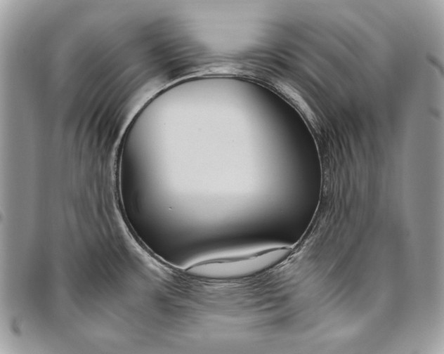 X0000094781483200712071153