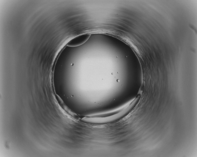 X0000094781484200712071153