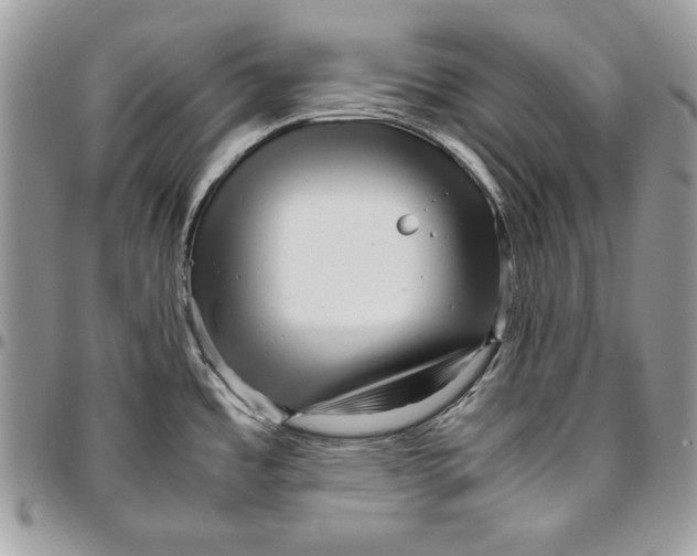 X0000094781485200712071153