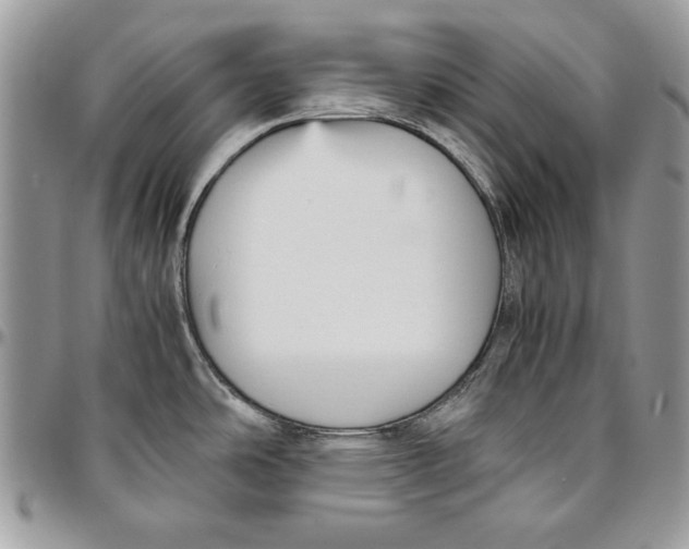 X0000094781486200712071153