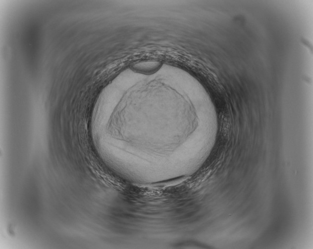 X0000094781489200712071152