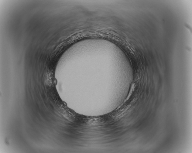 X0000094781490200712071152