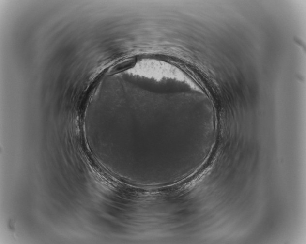 X0000094781497200712071152