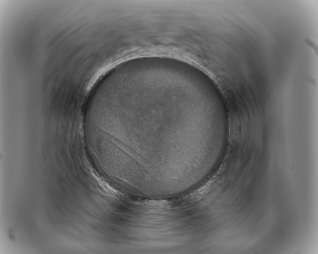 X0000094781498200712071153