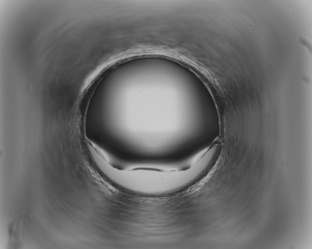 X0000094781502200712071153