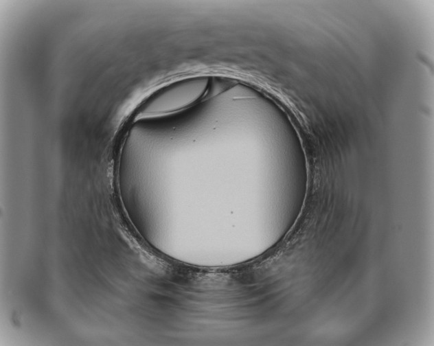 X0000094781503200712071153