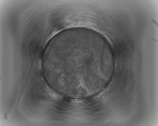 X0000094781505200712071153