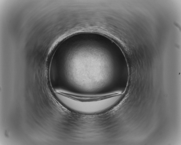 X0000094781506200712071153