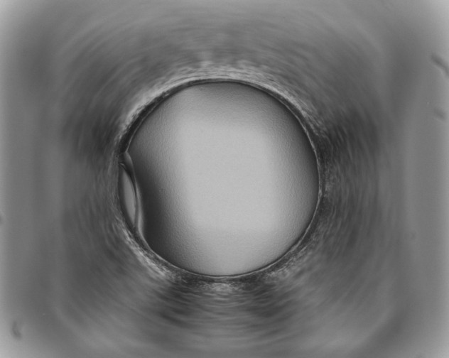 X0000094781507200712071153