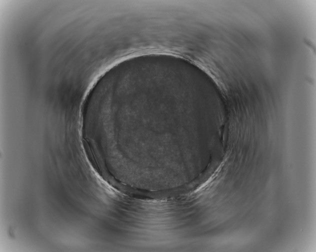 X0000094781508200712071153