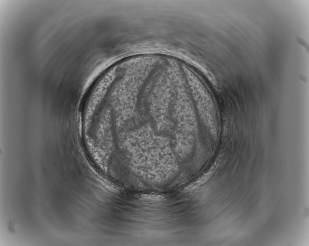 X0000094781509200712071153