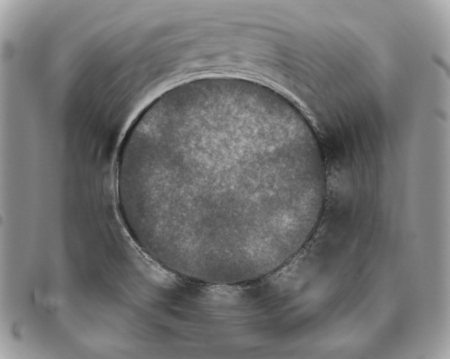 X0000094781514200712071153