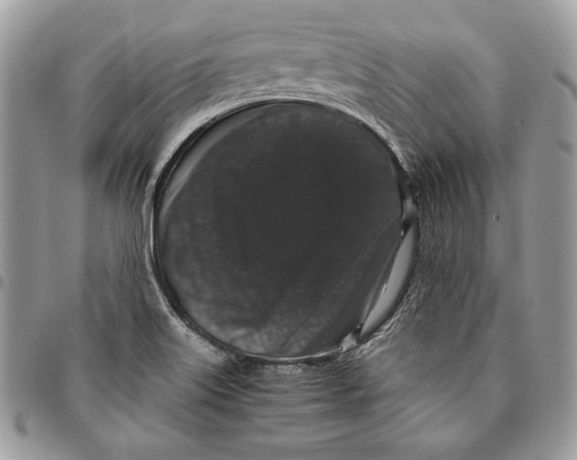 X0000094781515200712071153