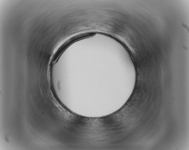 X0000094781516200712071153