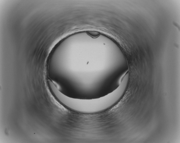 X0000094781518200712071153