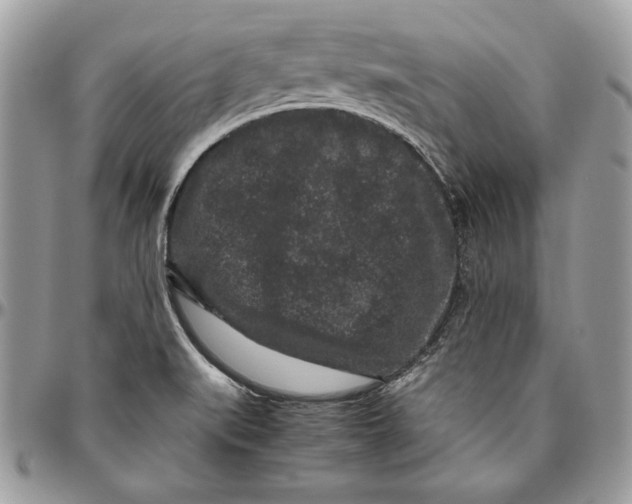 X0000094781519200712071153