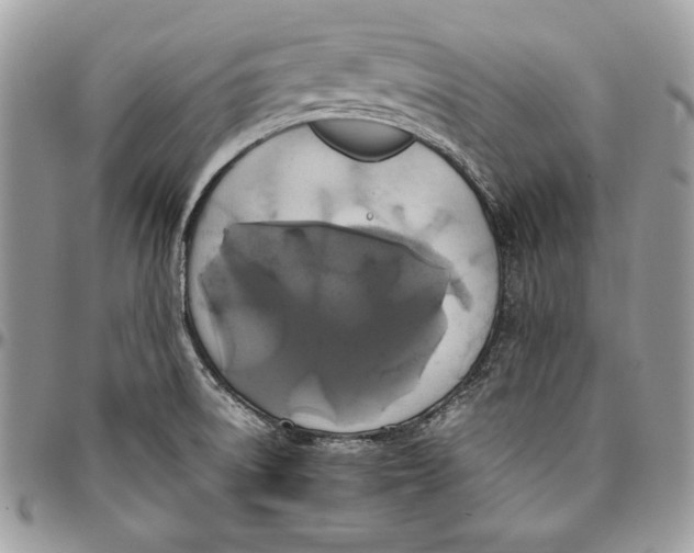 X0000094781522200712071153