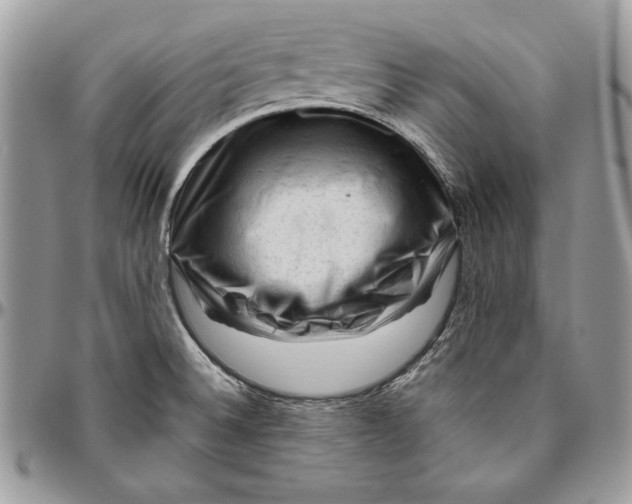 X0000094781524200712071153