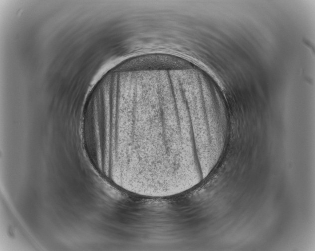 X0000094781525200712071153