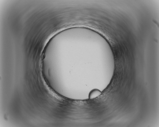 X0000094781526200712071153