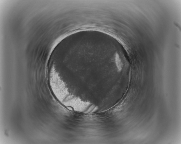 X0000094781527200712071153