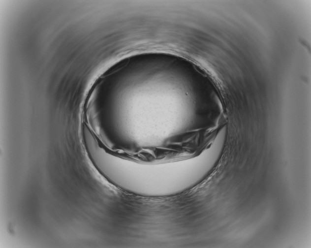 X0000094781528200712071153