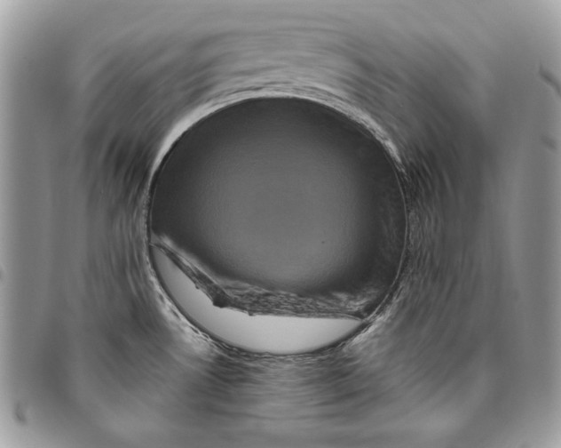 X0000094781530200712071153