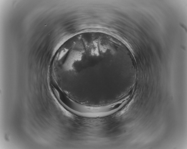 X0000094781533200712071153