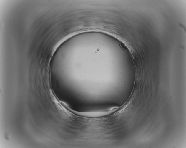 X0000094781534200712071153