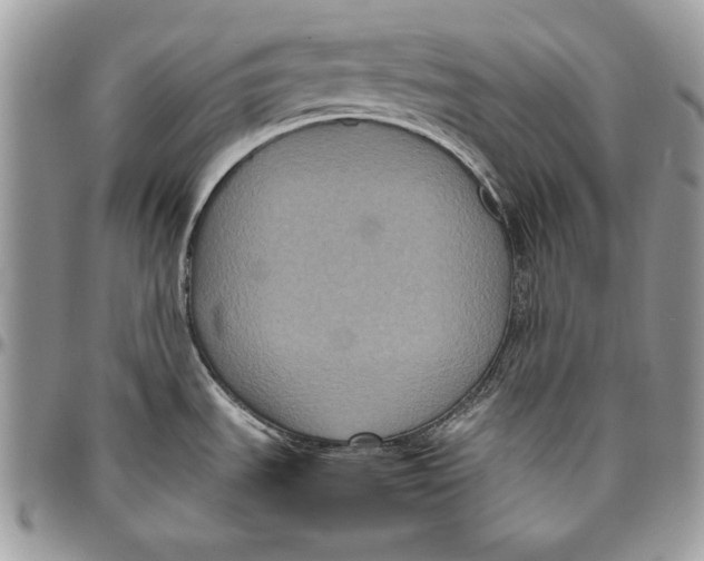 X0000094781535200712071153