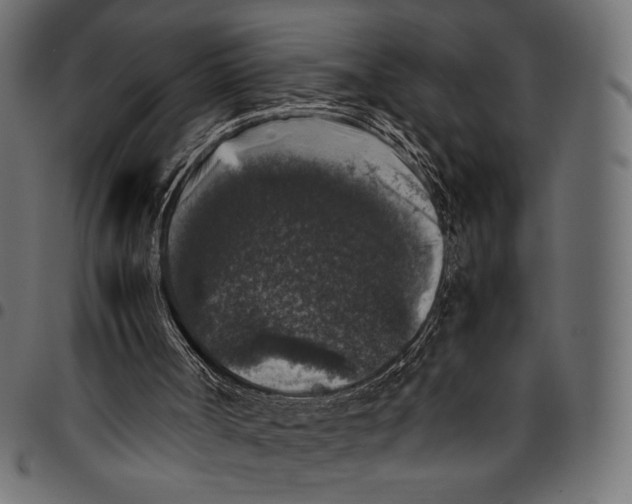 X0000094780002200712141630