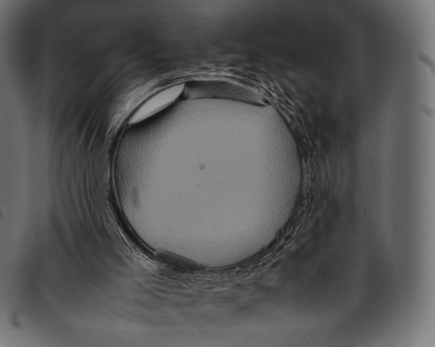 X0000094780005200712141630