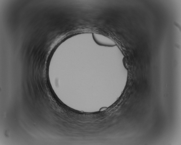 X0000094780008200712141630