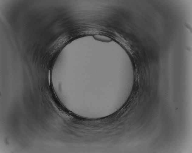 X0000094780013200712141630