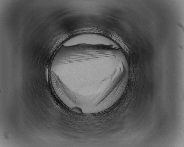 X0000094780014200712141630