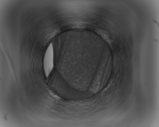 X0000094780017200712141630