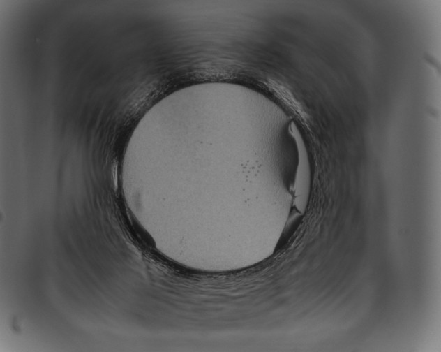 X0000094780021200712141630