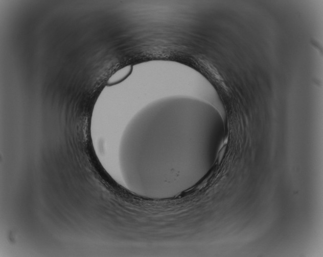 X0000094780023200712141630