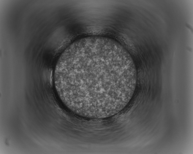 X0000094780024200712141630